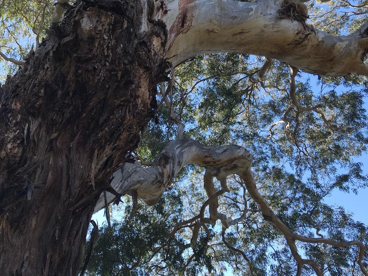 Swimming around the&nbsp;rips!